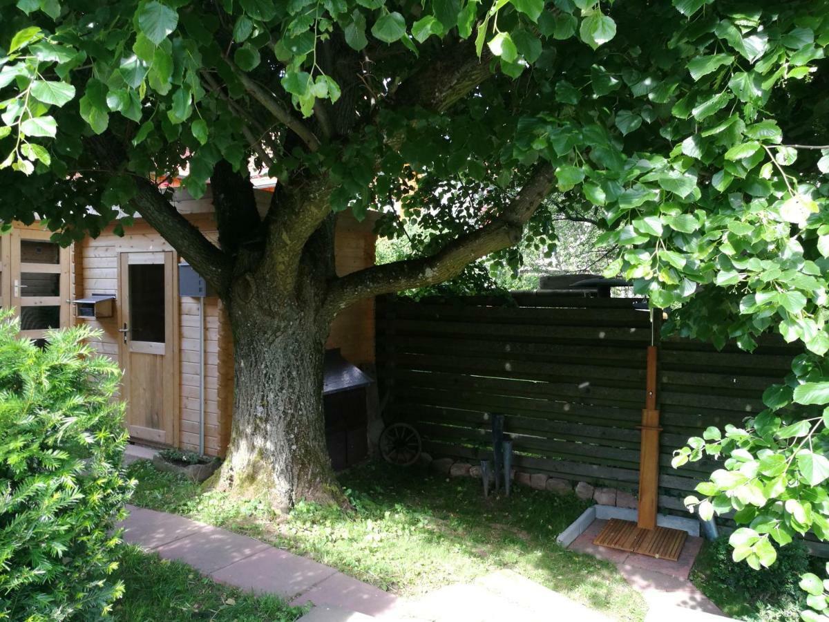 Ferienhaus Glücksmoment Grasellenbach Exterior foto